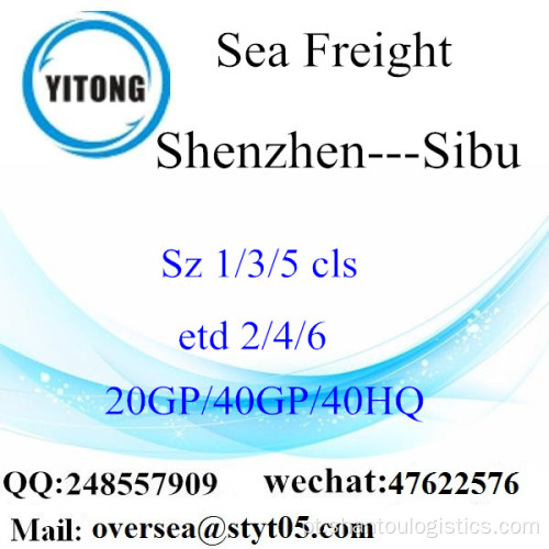 Shenzhen Port Sea Freight Shipping Para Sibu